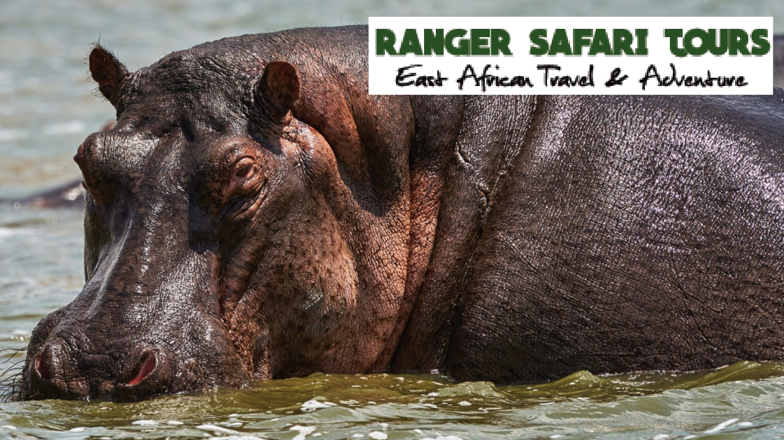 Rangersafari Tours